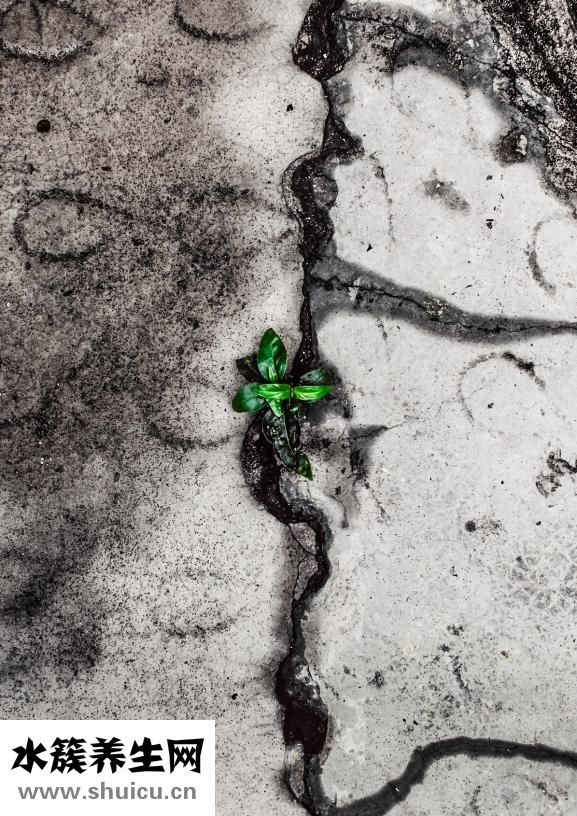 圆肩驼背怎么训练