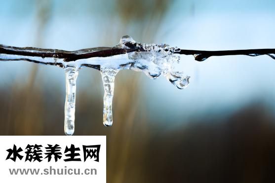 椰青怎么保存