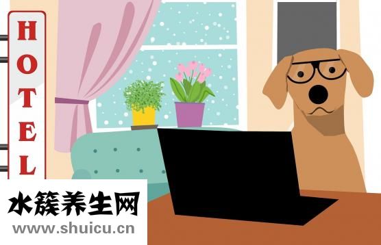 田七痛经胶囊