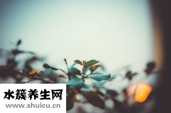 膝盖下方疼痛