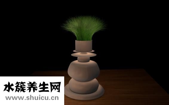 血管堵塞严重吗