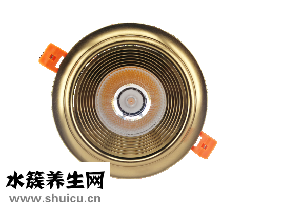 盐酸胺碘酮片