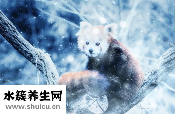 痉挛是怎么回事