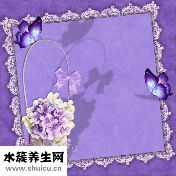 隐形矫正牙齿