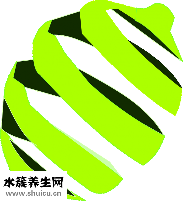 菠萝蜜核煮多久
