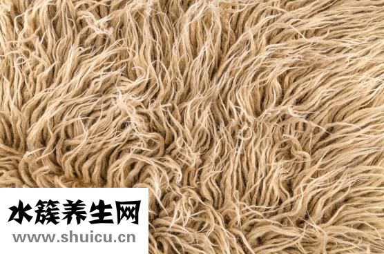 生蚝什么样的好