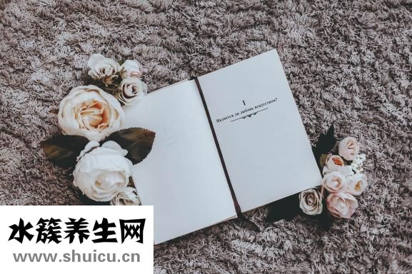 莴笋叶子能吃吗