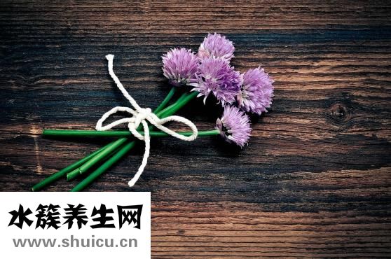 怎样补肾阳虚