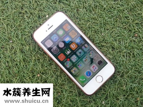 肾功能需要空腹吗