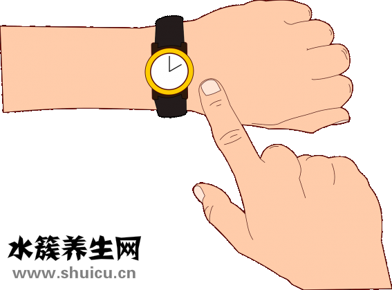 杏鲍菇煮多久可以熟