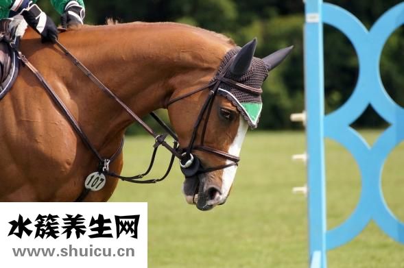 西麦燕麦片