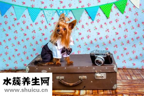 胃镜需要多少钱