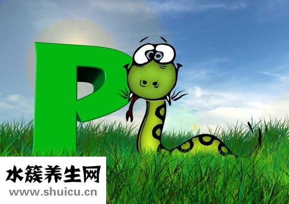 杨桃有毒吗