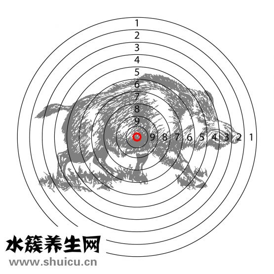针灸减肥好吗