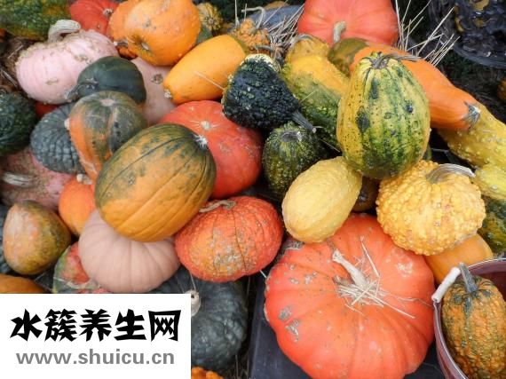 羊角密甜瓜