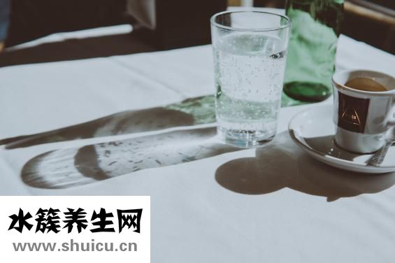 碳酸司维拉姆片