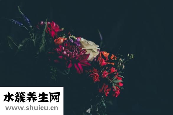 神曲的功效