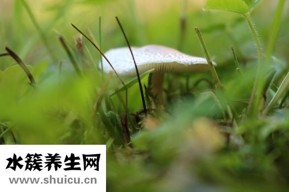 痦子和痣的区别