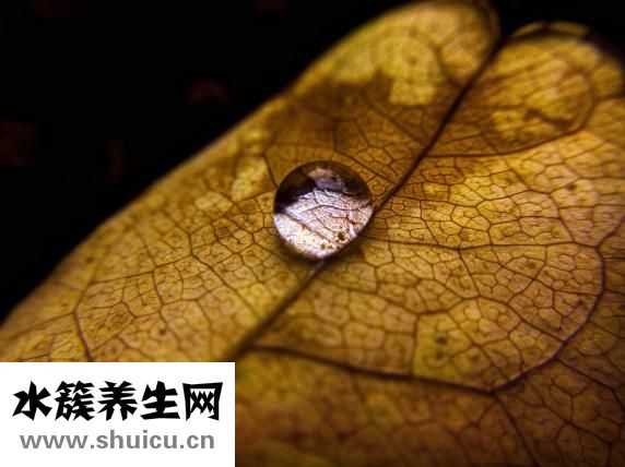 血管性荨麻疹