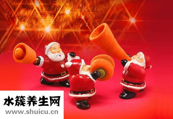 鸭汤怎么炖好喝