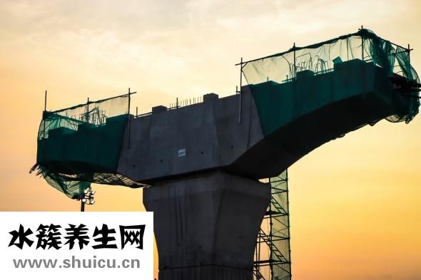穴位贴敷治疗贴