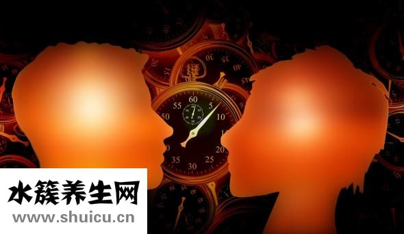素炒圆白菜