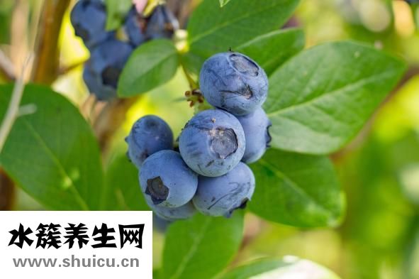手脚麻木怎么治