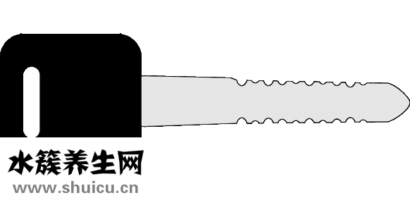肾上腺素多少钱一支