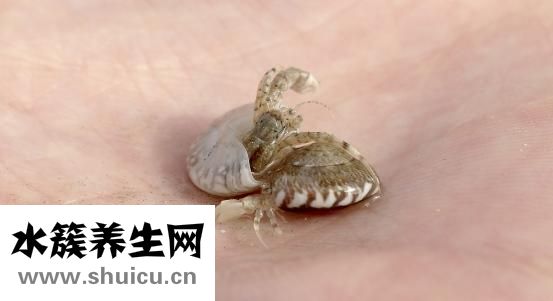 胃里有个瘤怎么办