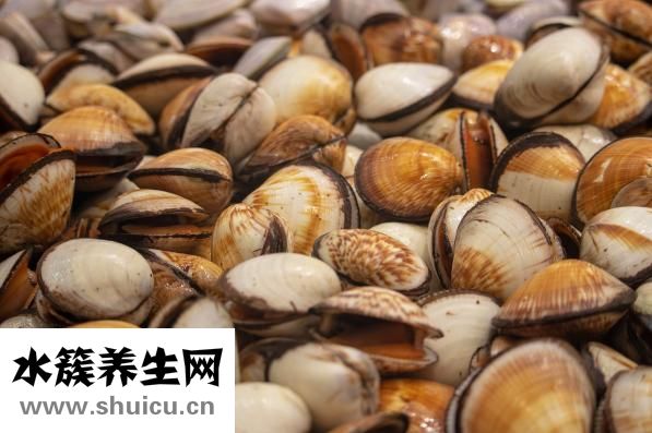 虾是海鲜吗