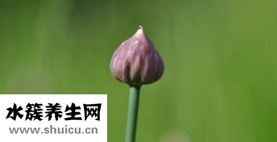 男人补肾吃什么