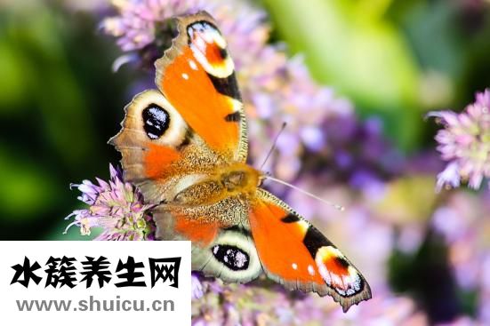 牙上有黑点