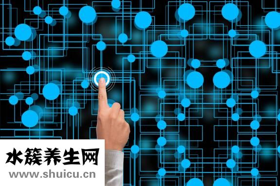 透明眼镜框
