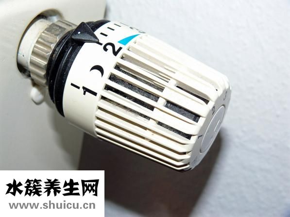 胰岛素促泌剂