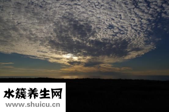 肾结石的危害