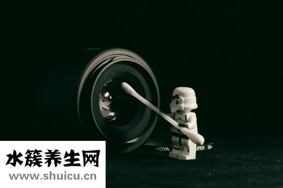 蒜蓉粉丝蒸鲍鱼