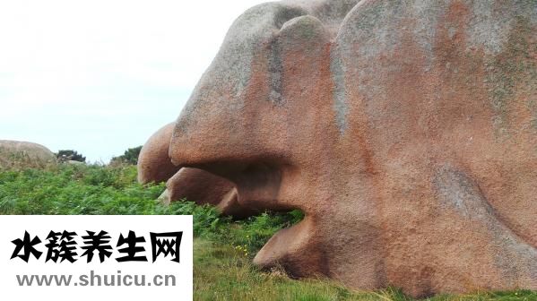 鼻子大的男人