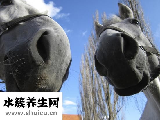 鼻子有异味