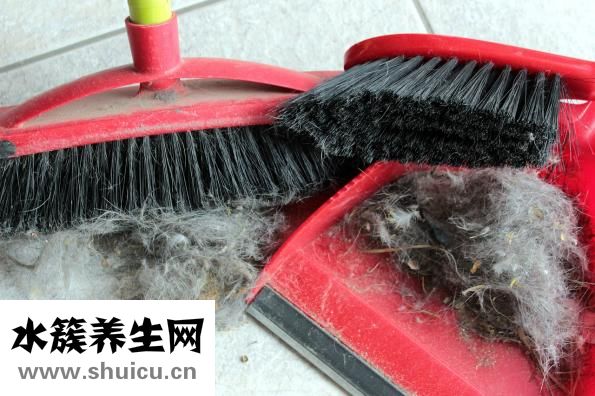 鸭子怎么脱毛快