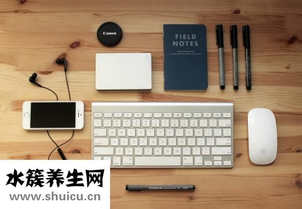 腰腹力量训练