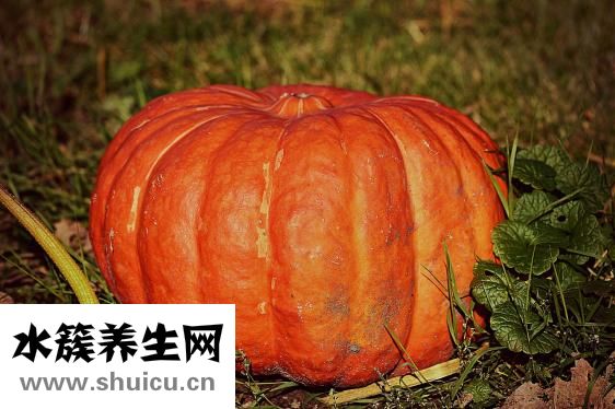 早饭做法大全