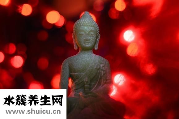 逍遥丸的成分