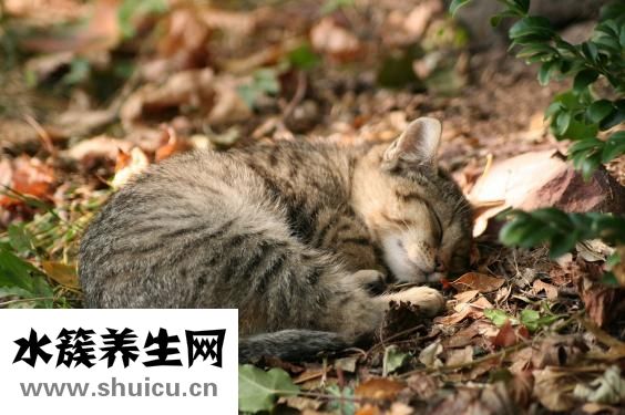 牙上有黑点