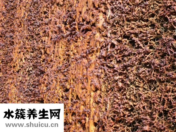 生理盐水怎么做