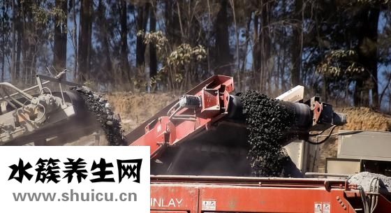 土方法治便秘
