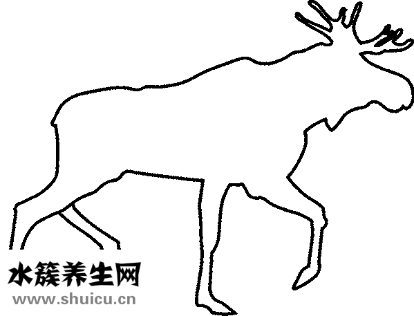生长曲线图