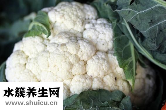 香菇要泡多久