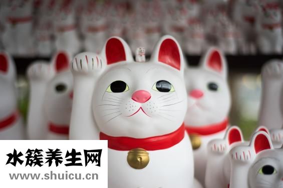 睡眠障碍看什么科