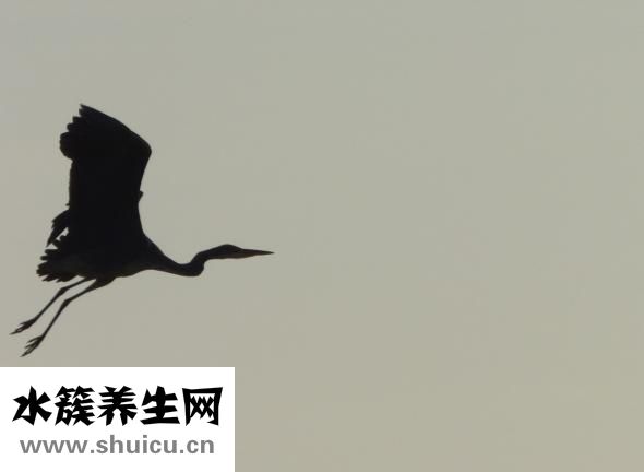 脖子疼是怎么回事