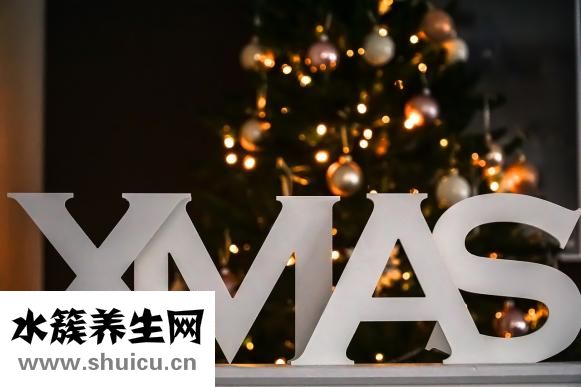 银耳红枣汤的做法
